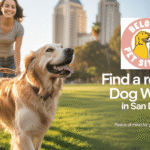dog sitter in San Diego