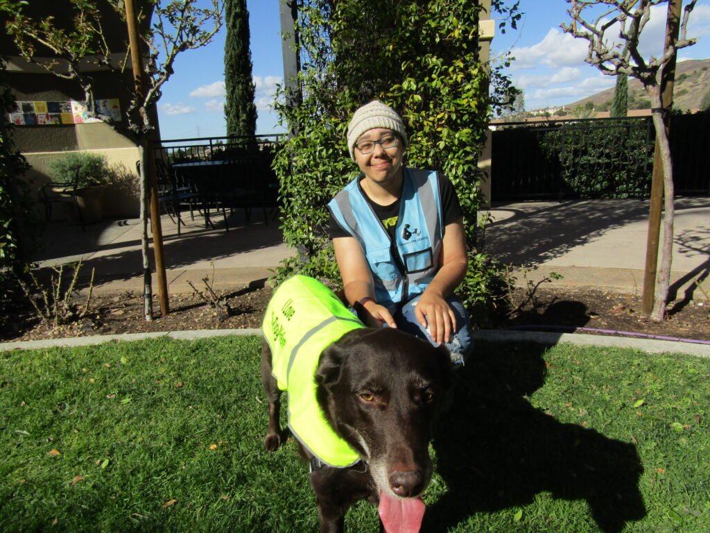 dog-walker-in-san-diago-1024x768 How to Find a Reliable Dog Walker in San Diego